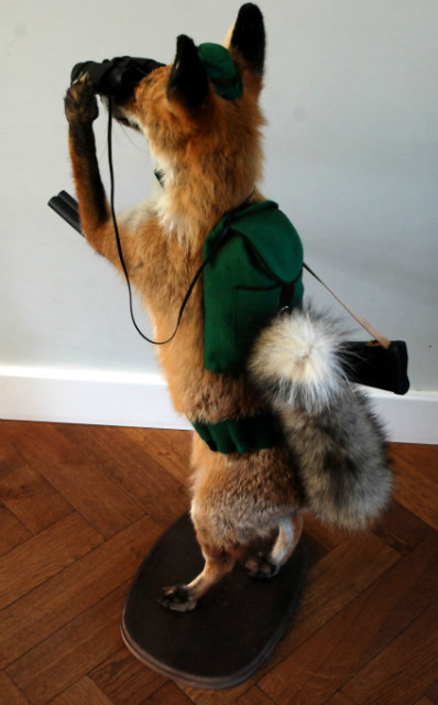 FM 220, Unique stuffed hunting fox.