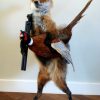 FM 240, Taxidermy Easter bunny