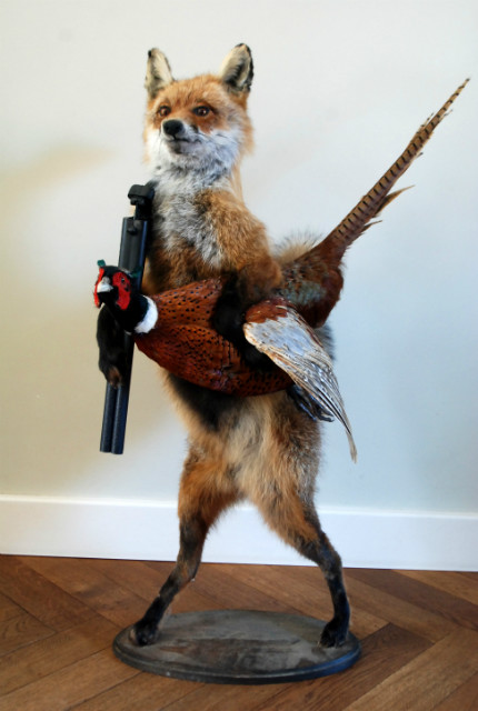 FM 230, Unique stuffed fox with pheasant