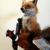 FM 230, Unique stuffed fox with pheasant