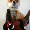 FM 230, Unique stuffed fox with pheasant