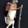 FM 240, Taxidermy Easter bunny