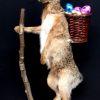 FM 240, Taxidermy Easter bunny