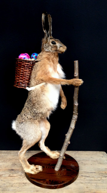 FM 240, Taxidermy Easter bunny