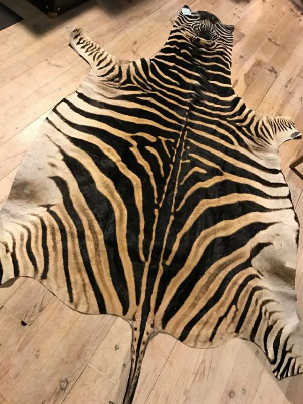 Freshly tanned zebra skins