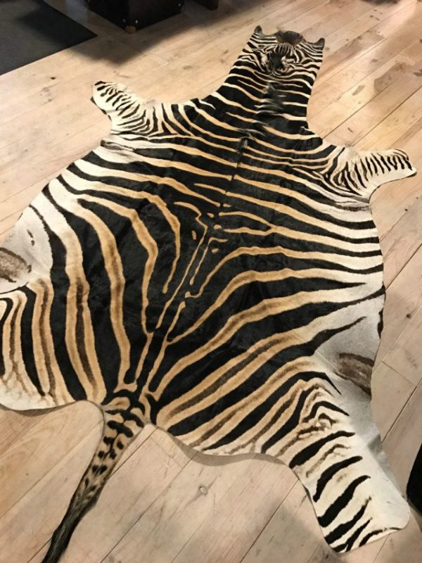 Freshly tanned zebra skins