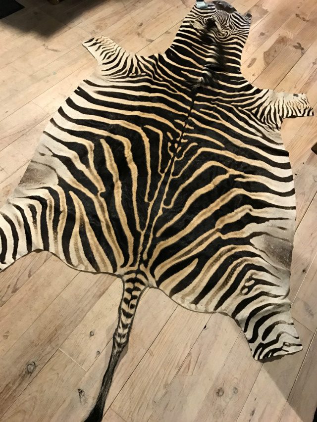 Freshly tanned zebra skins - BEAST Interiors