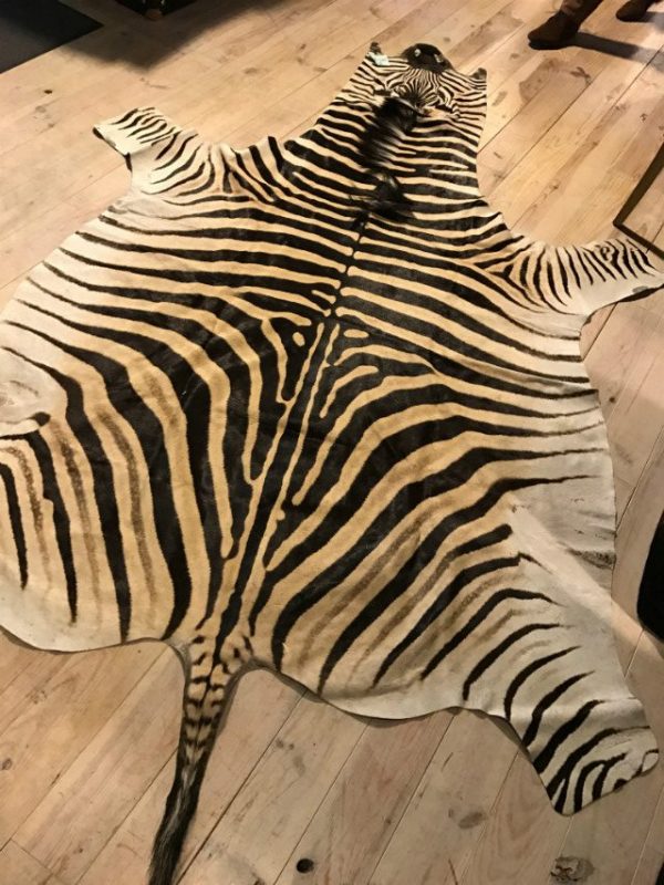 Freshly tanned zebra skins