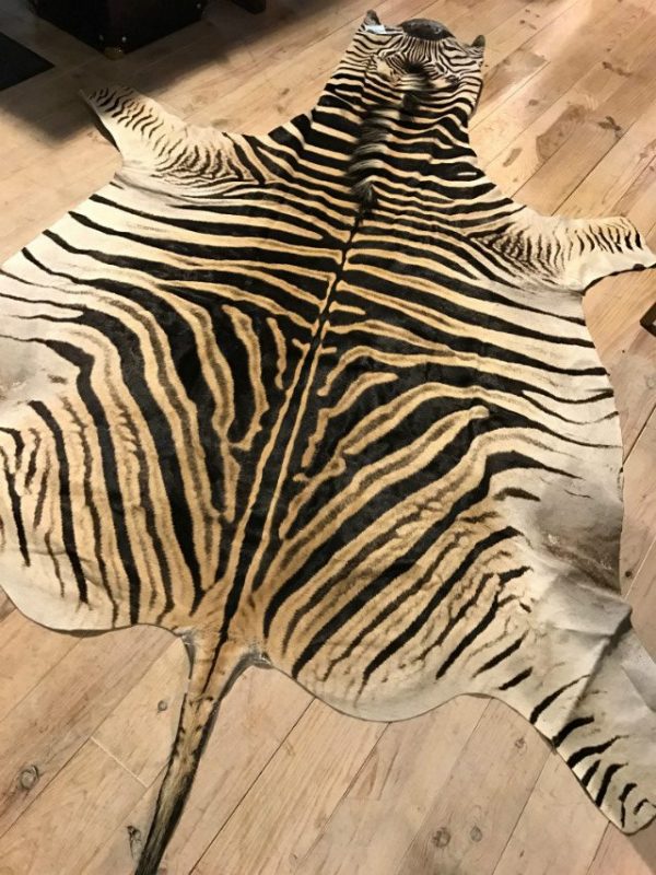 Freshly tanned zebra skins