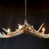 Heavy antler chandelier  with 6-lights and 2 spots.
