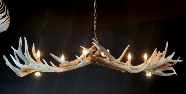 Heavy antler chandelier  with 6-lights and 2 spots.