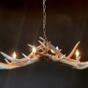 Heavy antler chandelier  with 6-lights and 2 spots.