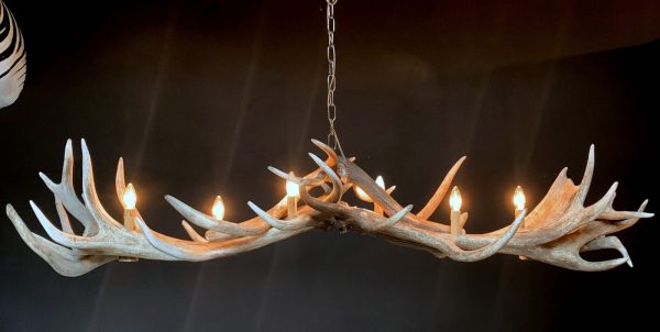 Heavy antler chandelier  with 6-lights and 2 spots.