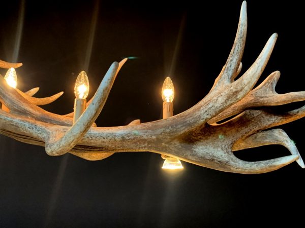 Heavy antler chandelier  with 6-lights and 2 spots.