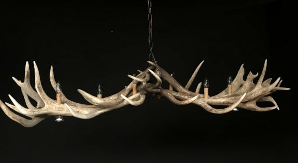 Heavy antler chandelier  with 6-lights and 2 spots.
