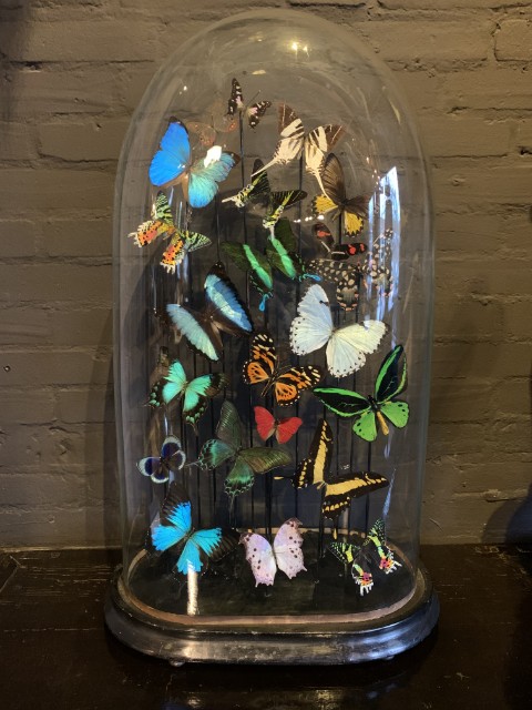 Enorme stolp rijkelijk gevuld met kleurrijke vlinders