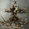 Stylish antler lamp fallow deer