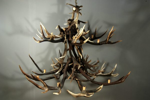 Antler lamp XXL