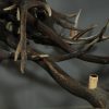 Antler lamp XXL