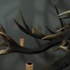 Antler lamp XXL