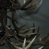 Antler lamp XXL