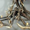 Antler lamp XXL