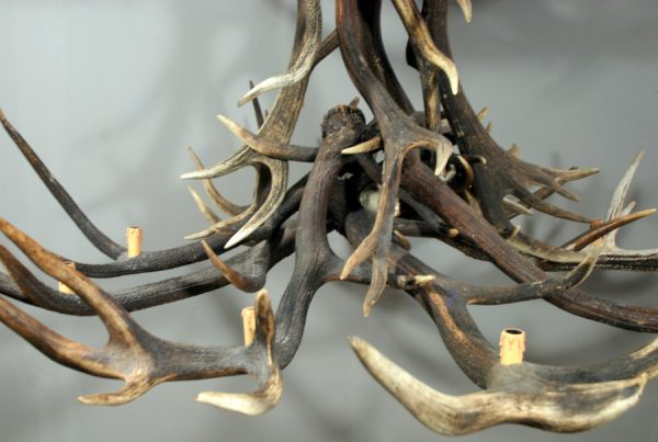 Antler lamp XXL