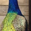 Imposing stuffed peacock