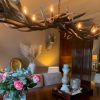 Attractive antler lamp as dining table lighting