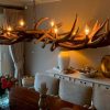Attractive antler lamp as dining table lighting
