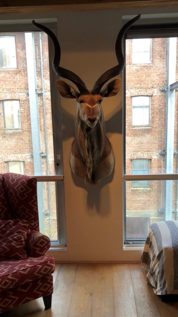 Kudu shouldermount in living room