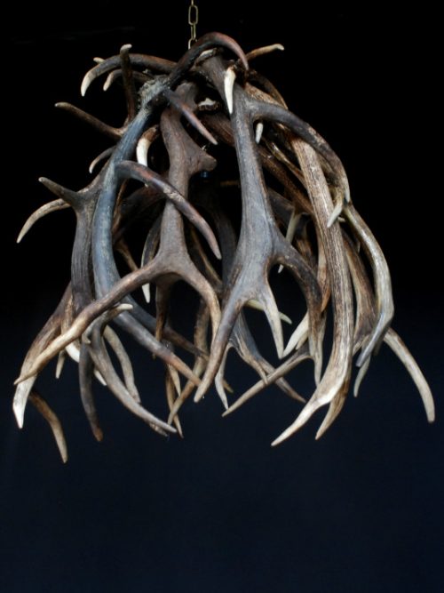 Lamp made of red deer antlers