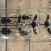 Large antique oval bar filled with beautiful beetles
