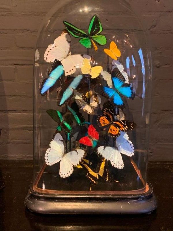 Einzigartige große Glocke, reich gefüllt mit bunten Schmetterlingen