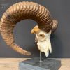 Large mouflon skull on base.