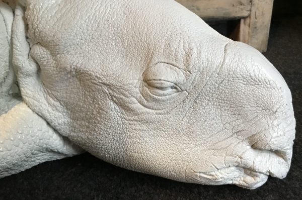 Lifelike replica of a rhinoceros calf