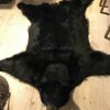 New AA grade skin of a big black bear