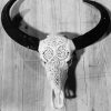 New bleached and carved water buffalo skulls