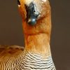 New in stock beautiful stuffed goose