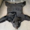 Neues Fell eines schwarzen Bären mit preparierter Kopf