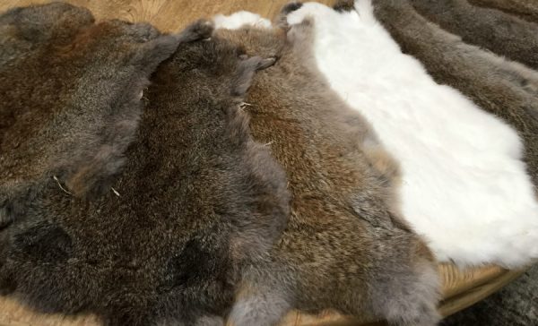 New tanned rabbit skins