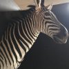 New taxidermy head of a zebra.