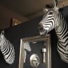 Nieuwe prachtig opgezette kop van een zebra