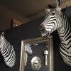 Nieuwe opgezette kop van een zebra