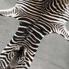 Nice tanned zebra skin