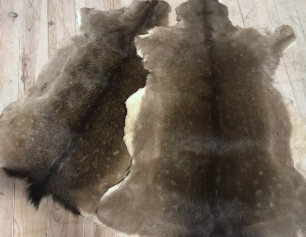 Nicely tanned fallow deer hides