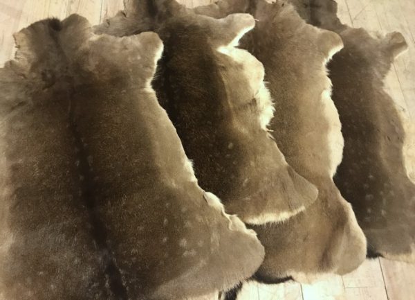 Nicely tanned fallow deer hides