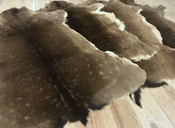 Nicely tanned fallow deer hides