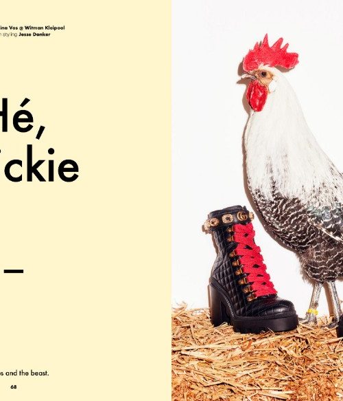 Our chicken are modelling in the latest issue of &C