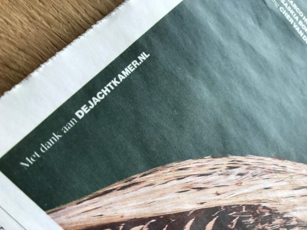 Unsere ausgestopfter Hahne in der Zeitung